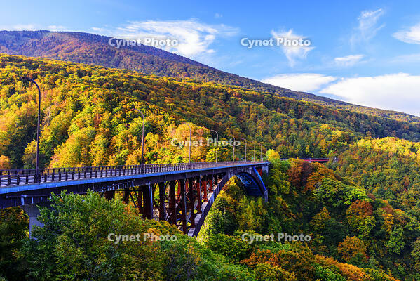 紅葉の城ヶ倉大橋 [MHI110005023]