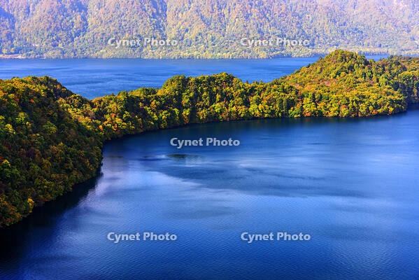 紅葉の中山半島　十和田湖 [MHI110005024]