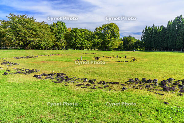 大湯環状列石　野中堂環状列石 [MHI110005026]
