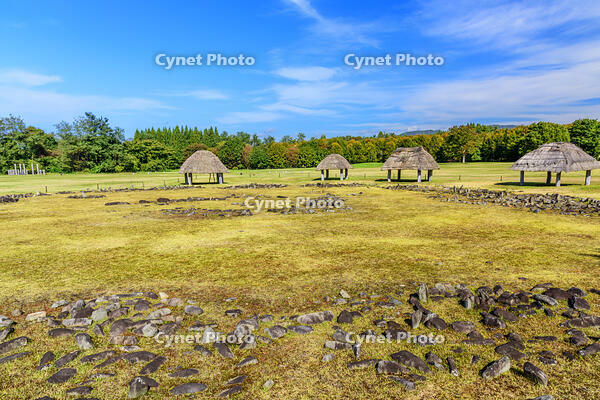 大湯環状列石　万座環状列石 [MHI110005027]