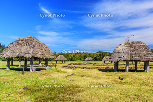大湯環状列石　万座環状列石 [MHI110005028]