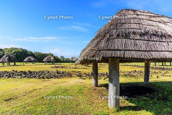 大湯環状列石　万座環状列石 [MHI110005029]