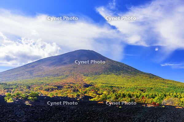 紅葉の岩手山と焼走り熔岩流 [MHI110005030]