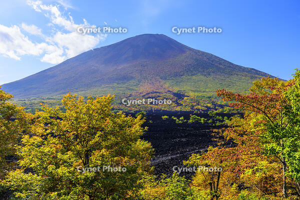 紅葉の岩手山と焼走り熔岩流 [MHI110005031]