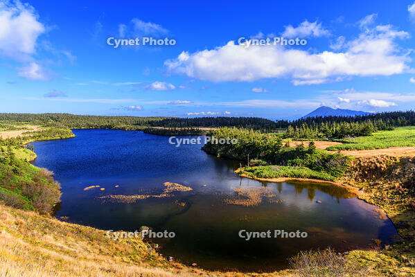 秋色の八幡沼と岩手山遠望 [MHI110005034]