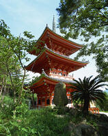 向上寺三重塔 [JPC110000017]