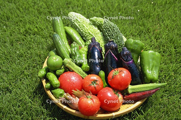 夏野菜 [JPC110000026]