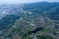 日本平農地(ミカン畑)周辺 [THN110007893]