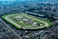 JRA東京競馬場周辺 [THN110007967]