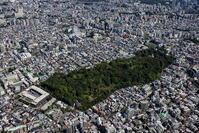 小石川植物園(東京大学付属植物園)周辺 [THN110008003]