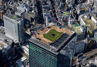 渋谷スクランブルスクエアの屋上展望デッキ [THN110008026]