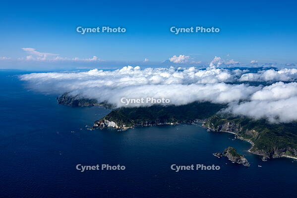伊豆半島石廊崎地区の下層雲(海霧)と富士山 [THN110007933]