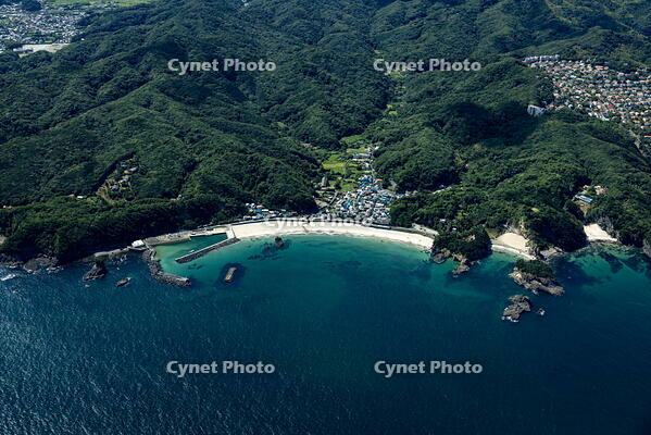 田牛海水浴場と田牛港周辺 [THN110007938]