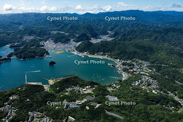 須崎地区より下田港と下田市の街並み [THN110007942]