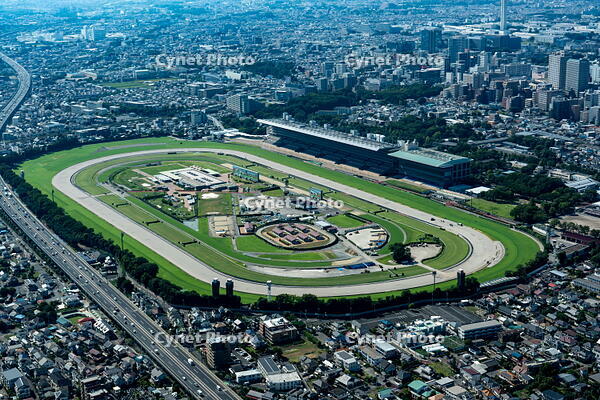 JRA東京競馬場周辺 [THN110007967]