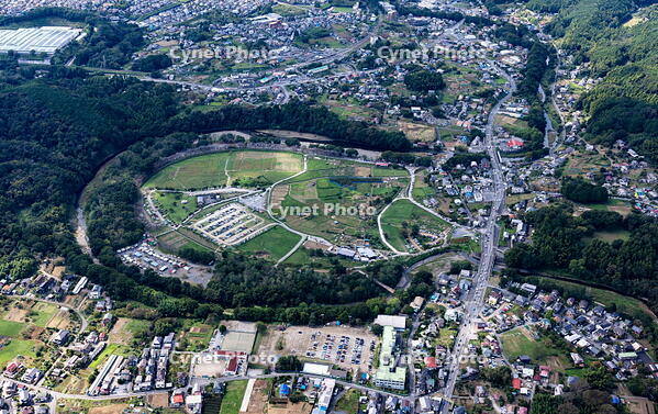 巾着田 [THN110007973]