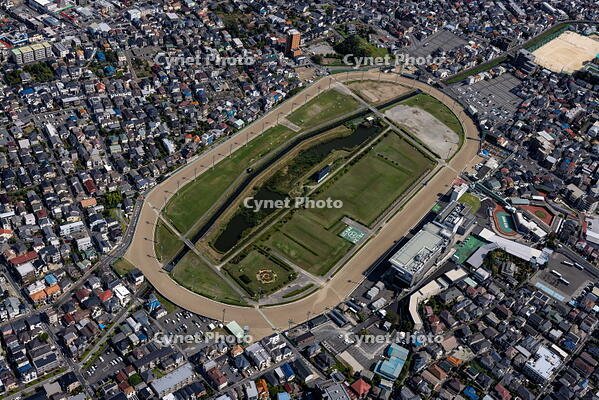 浦和競馬場 [THN110007993]