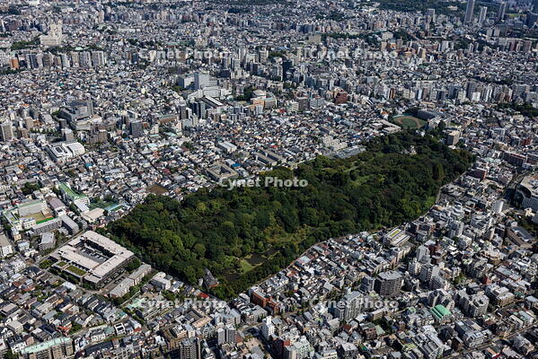 小石川植物園(東京大学付属植物園)周辺 [THN110008003]
