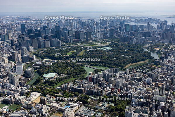 九段周辺より大手町,丸の内,東京駅方面 [THN110008022]
