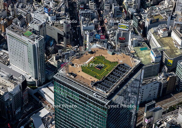 渋谷スクランブルスクエアの屋上展望デッキ [THN110008026]