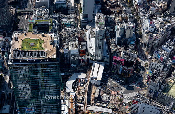 渋谷スクランブルスクエアの屋上展望デッキと渋谷スクランブル交差点周辺 [THN110008027]