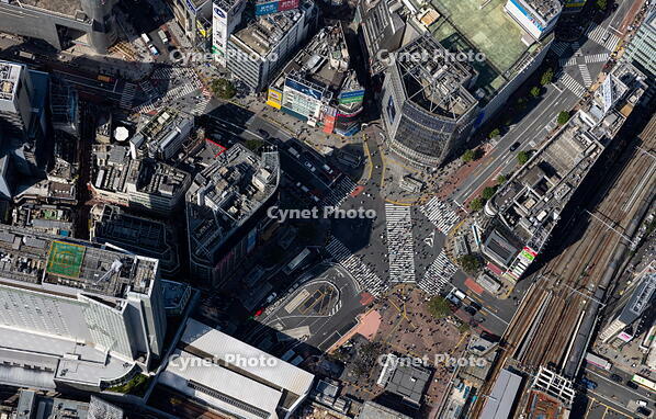 渋谷スクランブル交差点 [THN110008028]