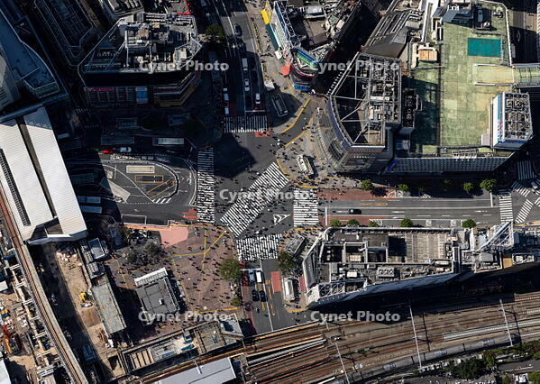 渋谷スクランブル交差点 [THN110008029]