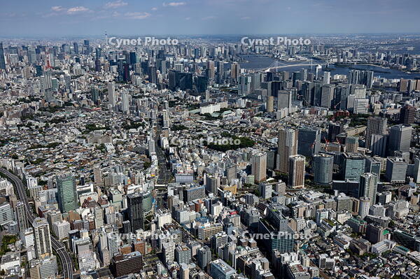五反田駅周辺より品川駅,高輪ゲートウェイ駅方面の街並み [THN110008031]