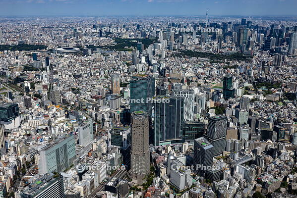 渋谷駅周辺より東京の街並み [THN110008035]