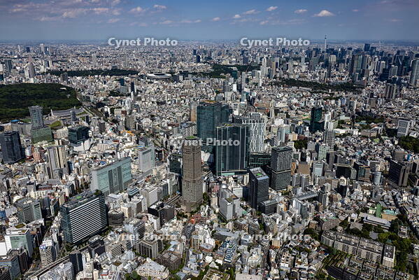 渋谷駅周辺より東京の街並み [THN110008037]