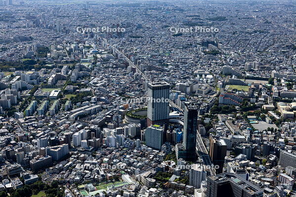 大橋JCT(首都高速3号渋谷線)周辺より三軒茶屋方面 [THN110008038]