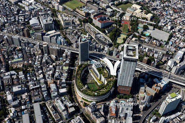 大橋JCT(首都高速3号渋谷線)周辺 [THN110008039]