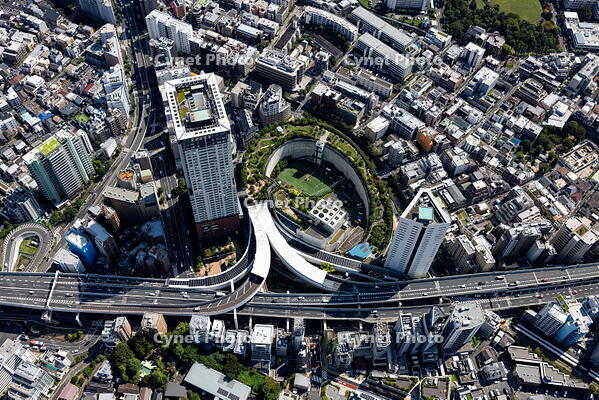 大橋JCT(首都高速3号渋谷線)周辺 [THN110008040]