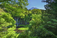 白糸ノ滝越しに富士山を望む [OYO110006717]