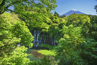 白糸ノ滝越しに富士山を望む [OYO110006718]