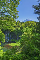 白糸ノ滝越しに富士山を望む [OYO110006719]
