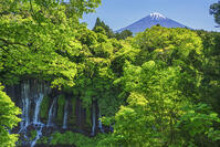 白糸ノ滝越しに富士山を望む [OYO110006720]