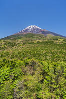 水ヶ塚公園より富士山を望む [OYO110006723]