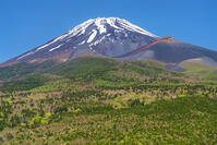 水ヶ塚公園より富士山を望む [OYO110006724]