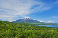 パノラマ台より富士山を望む [OYO110006754]