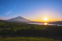 パノラマ台より富士山の夕景を望む [OYO110006764]