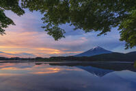 河口湖より夜明けの富士山を望む [OYO110006766]