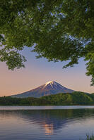 河口湖より夜明けの富士山を望む [OYO110006773]