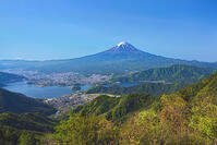 新緑の新道峠より河口湖越しに富士山を望む [OYO110006776]
