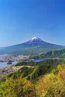 新緑の新道峠より河口湖越しに富士山を望む [OYO110006778]