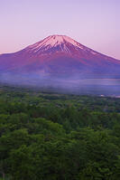 パノラマ台より朝焼けの富士山を望む [OYO110006790]