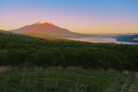 パノラマ台より朝焼けの富士山を望む [OYO110006793]