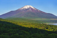 パノラマ台より富士山を望む [OYO110006795]