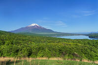パノラマ台より富士山を望む [OYO110006796]