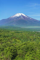 パノラマ台より富士山を望む [OYO110006797]
